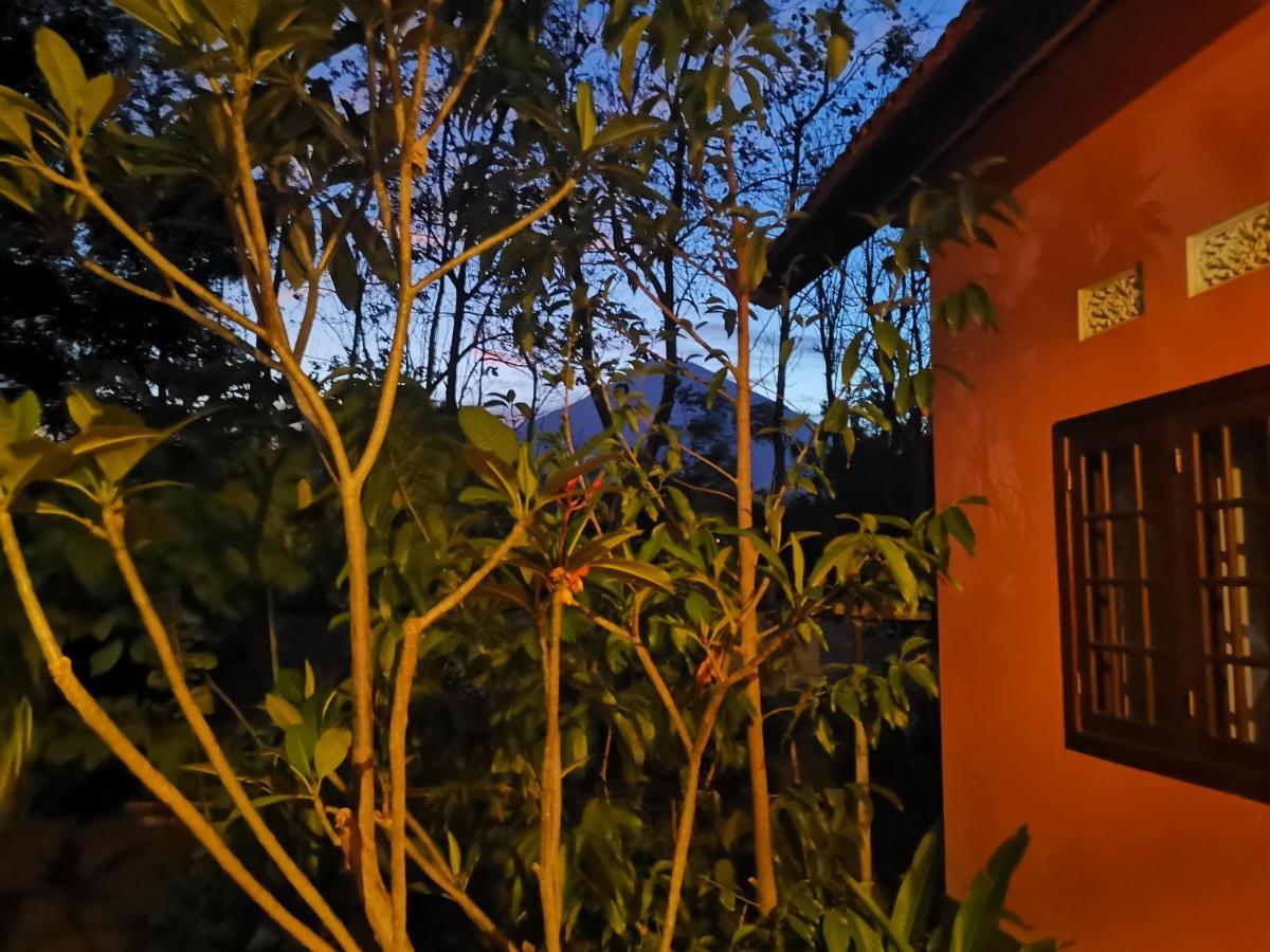 Rose Valley Villa 艾湄湾 外观 照片